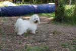 DSC06562.jpg